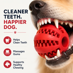 ChewBrush™